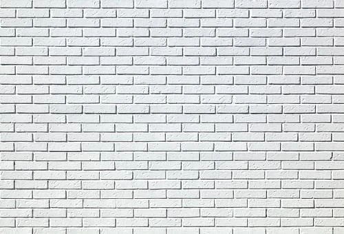 White Brick Wall Party Room Decorations Photo Backdrop G-39