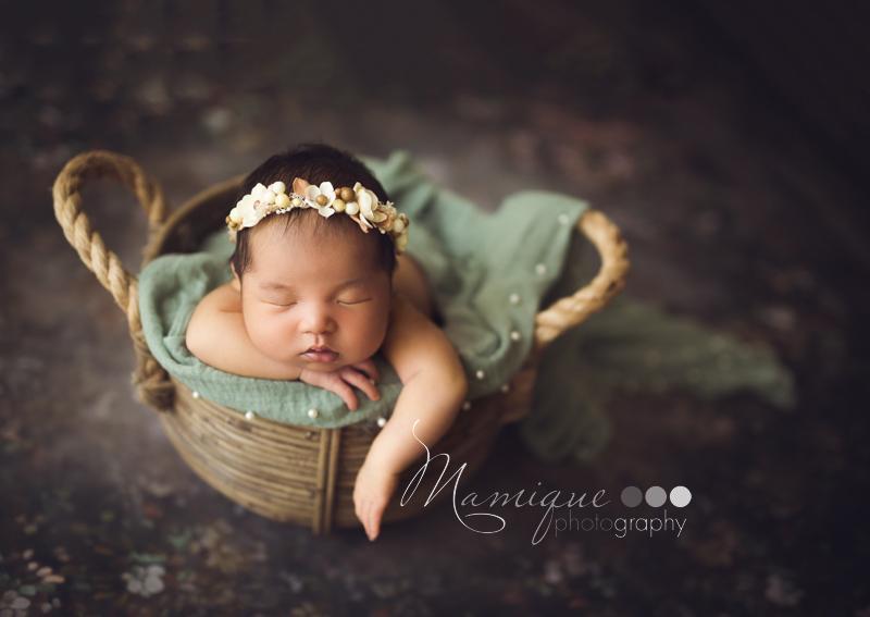 Fondale Astratto Della Cabina Fotografica Del Ritratto Del Fiore G-438