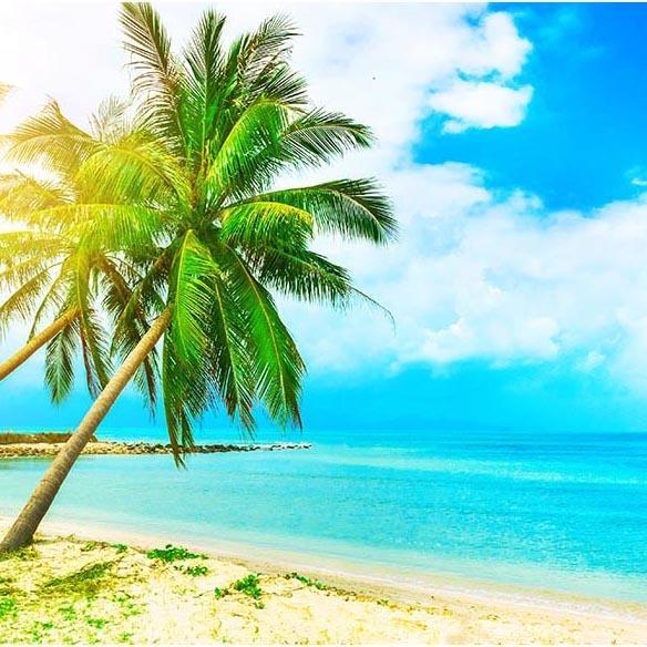 Fondale Fotografico Personalizzato Per Spiagge Oceano G-500