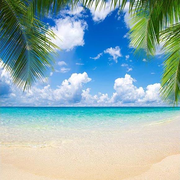 Fondale Autunnale Sullo Sfondo Dell'Oceano Con Spiagge G-505