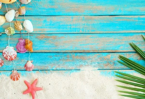 Summer Beach Sand Starfishs Coconut Leaves Shells Decoration Wooden Backdrop G-94