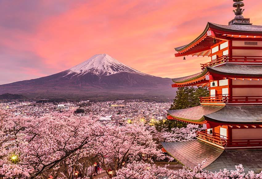 Spring Japanese Cherry Backdrop for Photography GY-048