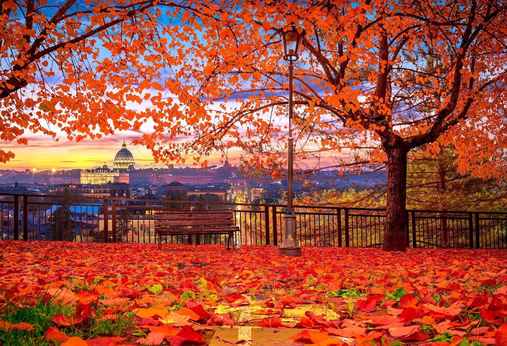 Sfondo Panoramico Alberi Parchi E Boschi Sfondo Albero HJ05421