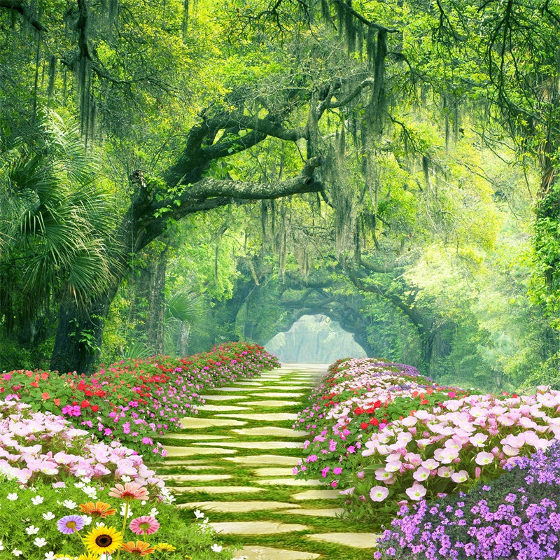 Fiori Primaverili Che Circondano Il Sentiero Foresta Mistica Sullo Sfondo M1-38