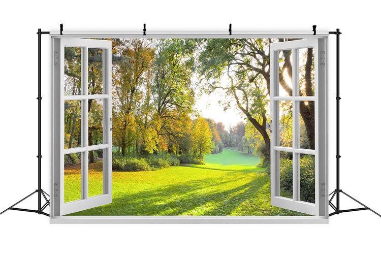 Finestra Di Inizio Primavera Con Vista Sullo Sfondo Di Recupero Dei Boschi Alti M1-59