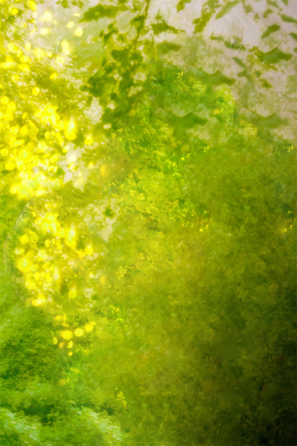 Sfumatura Artistica Primaverile Di Verde Intrecciata Attraverso Lo Sfondo Della Luce Solare M1-61