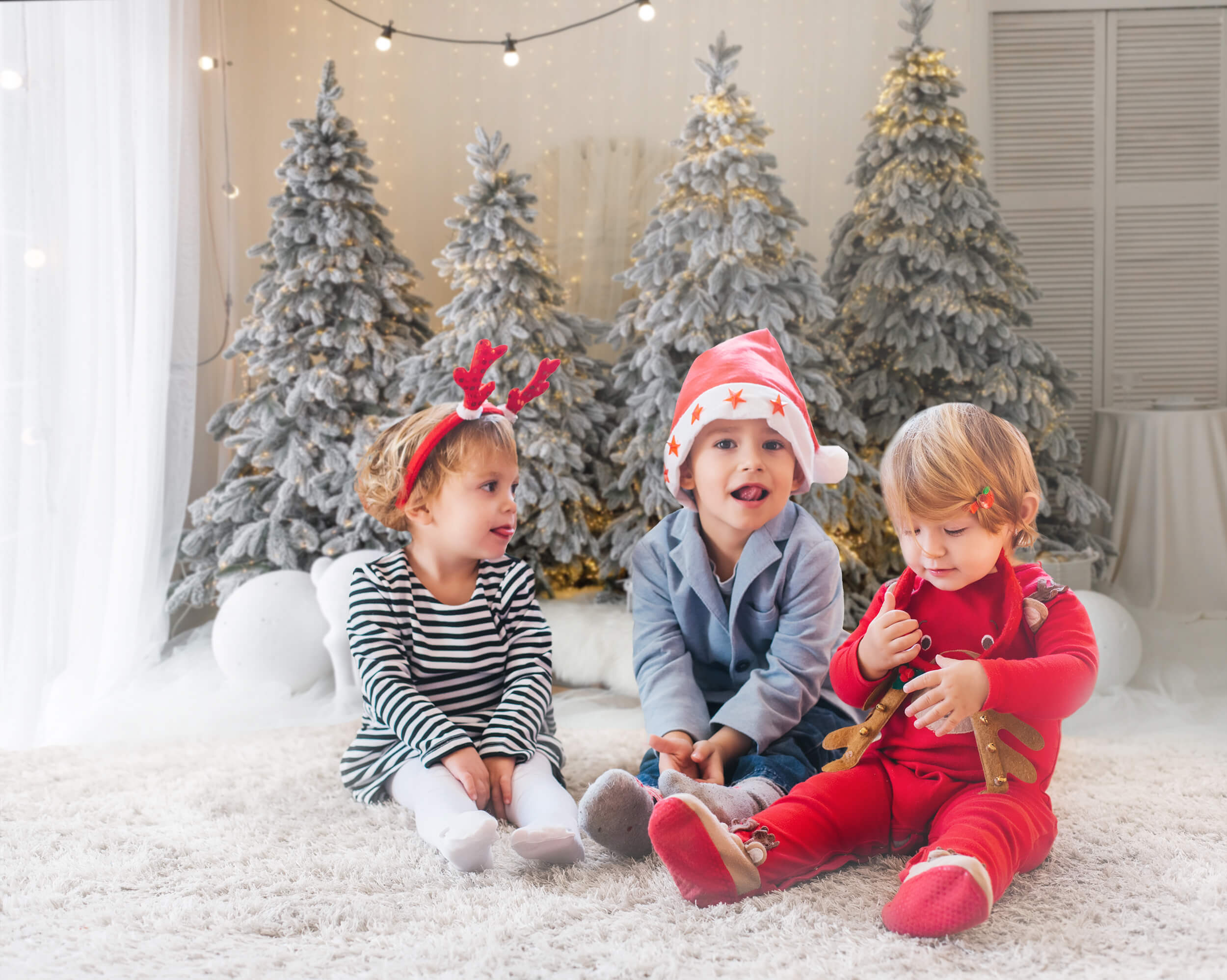 Sfondo Fotografico Con Decorazione Alce Albero Di Natale M10-06