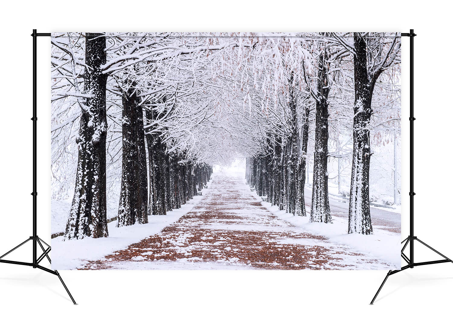 Sfondo Del Percorso Pedonale Degli Alberi Innevati Invernali M10-08