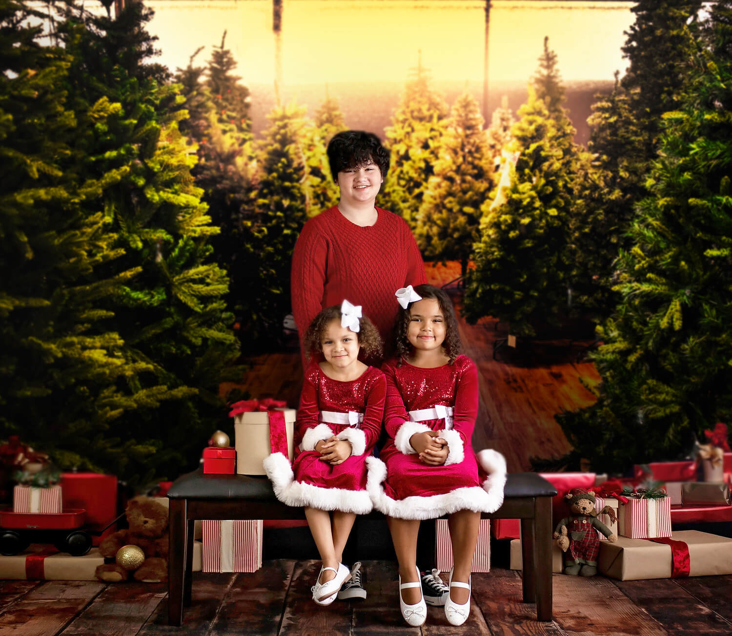 Sfondo Fotografico Per Fattoria Con Alberi Di Natale M10-13