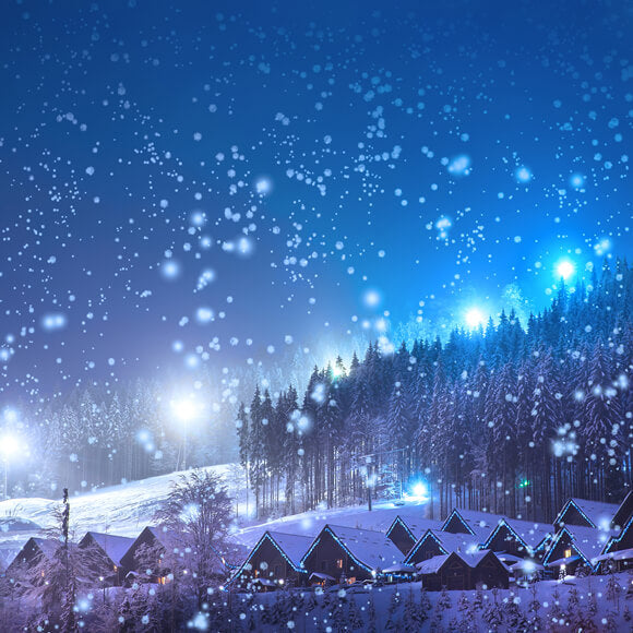 Sfondo Di Vista Notturna Della Foresta Del Villaggio Di Neve Invernale M10-14