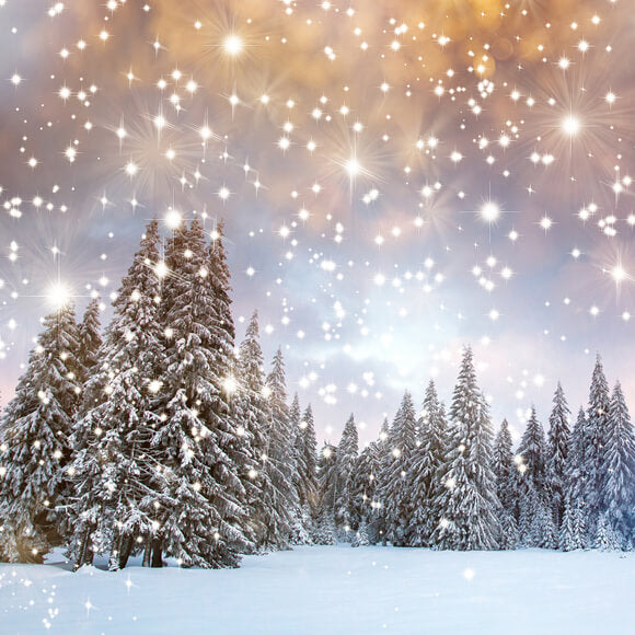Neve Invernale Abeti Stelle Scintillanti Sfondo M10-15