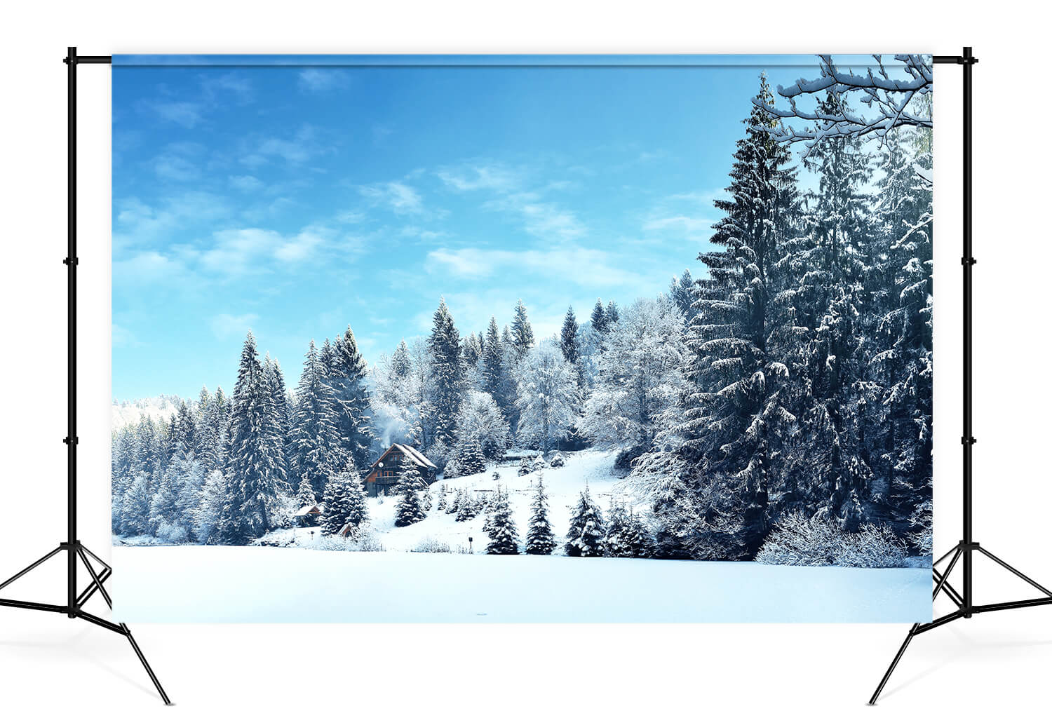 Sfondo Invernale Di Paesaggi Innevati Della Foresta Di Pini M10-66