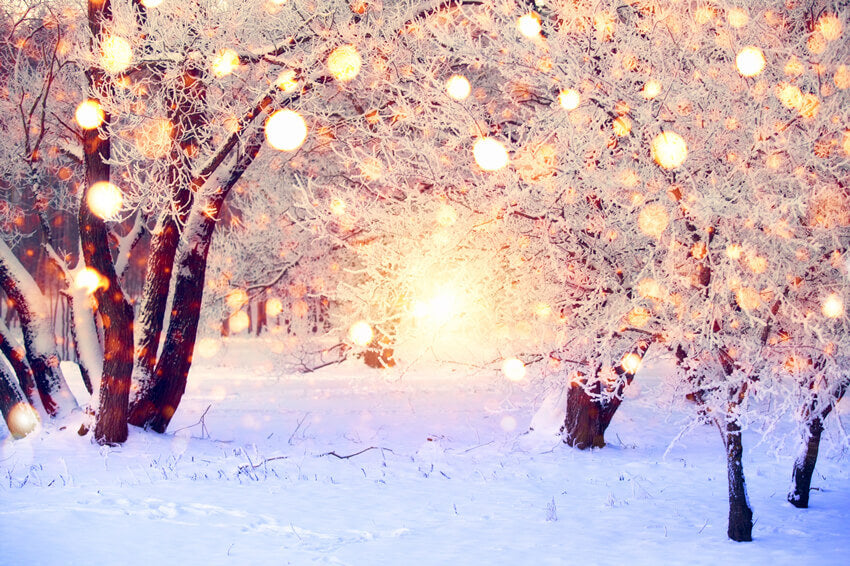Sfondo Fotografico Con Luci Glitterate Di Neve Invernale M10-71