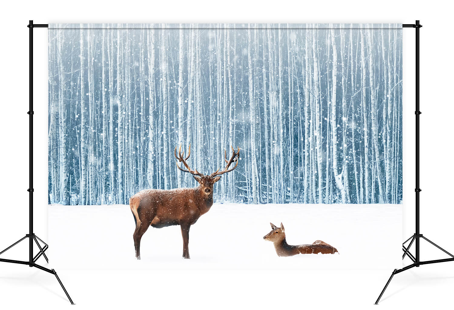 Sfondo Fotografico Di Cervi Della Foresta Invernale Innevata M11-11