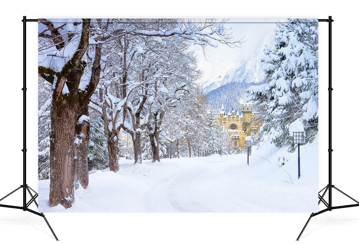 Sfondo Del Castello Di Strada Degli Alberi Innevati Invernali M11-12