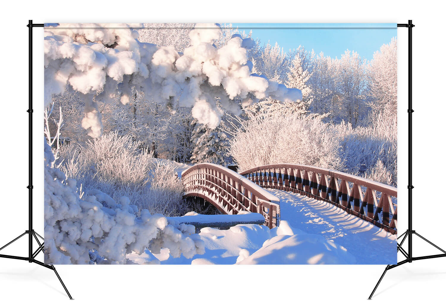 Sfondo Del Ponte Della Foresta Di Pini Con Neve Invernale M11-18