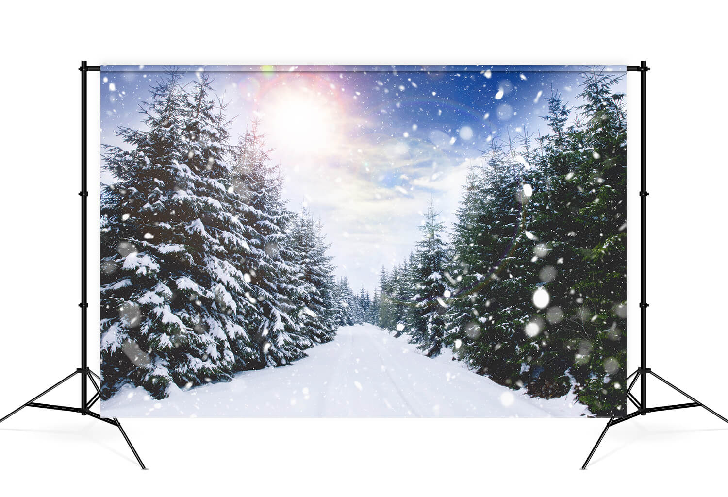 Sfondo Paesaggio Invernale Con Nevicate E Luce Solare M11-45