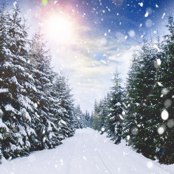 Sfondo Paesaggio Invernale Con Nevicate E Luce Solare M11-45