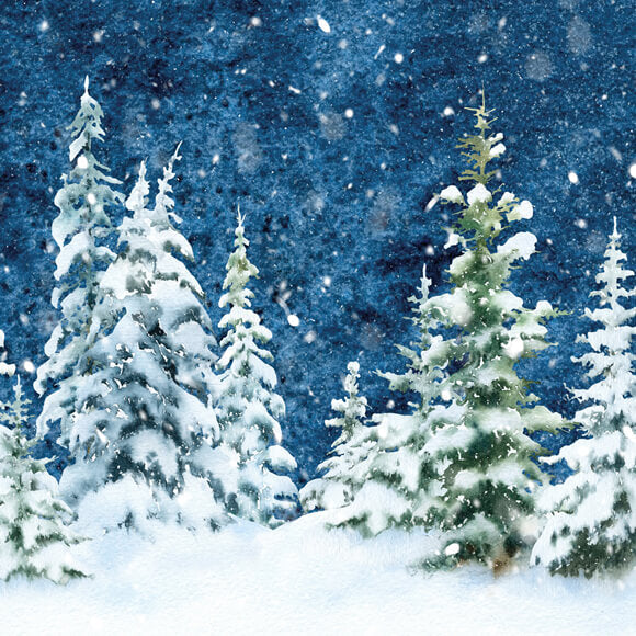 Sfondo Acquerello Di Neve Foresta Di Abete Rosso Invernale M11-46
