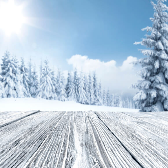 Sfondo Di Paesaggio Di Boschi Di Alberi Innevati Invernali M11-48