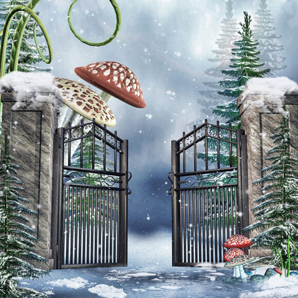 Sfondo Di Funghi Giganti Di Neve Del Giardino D'Inverno M11-51