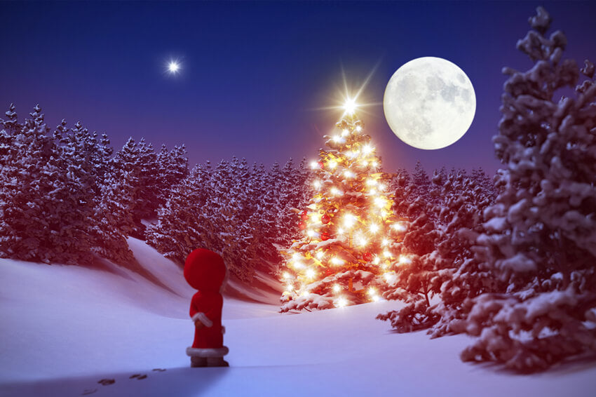 Sfondo Invernale Con Foresta Innevata E Luna Notturna M11-61
