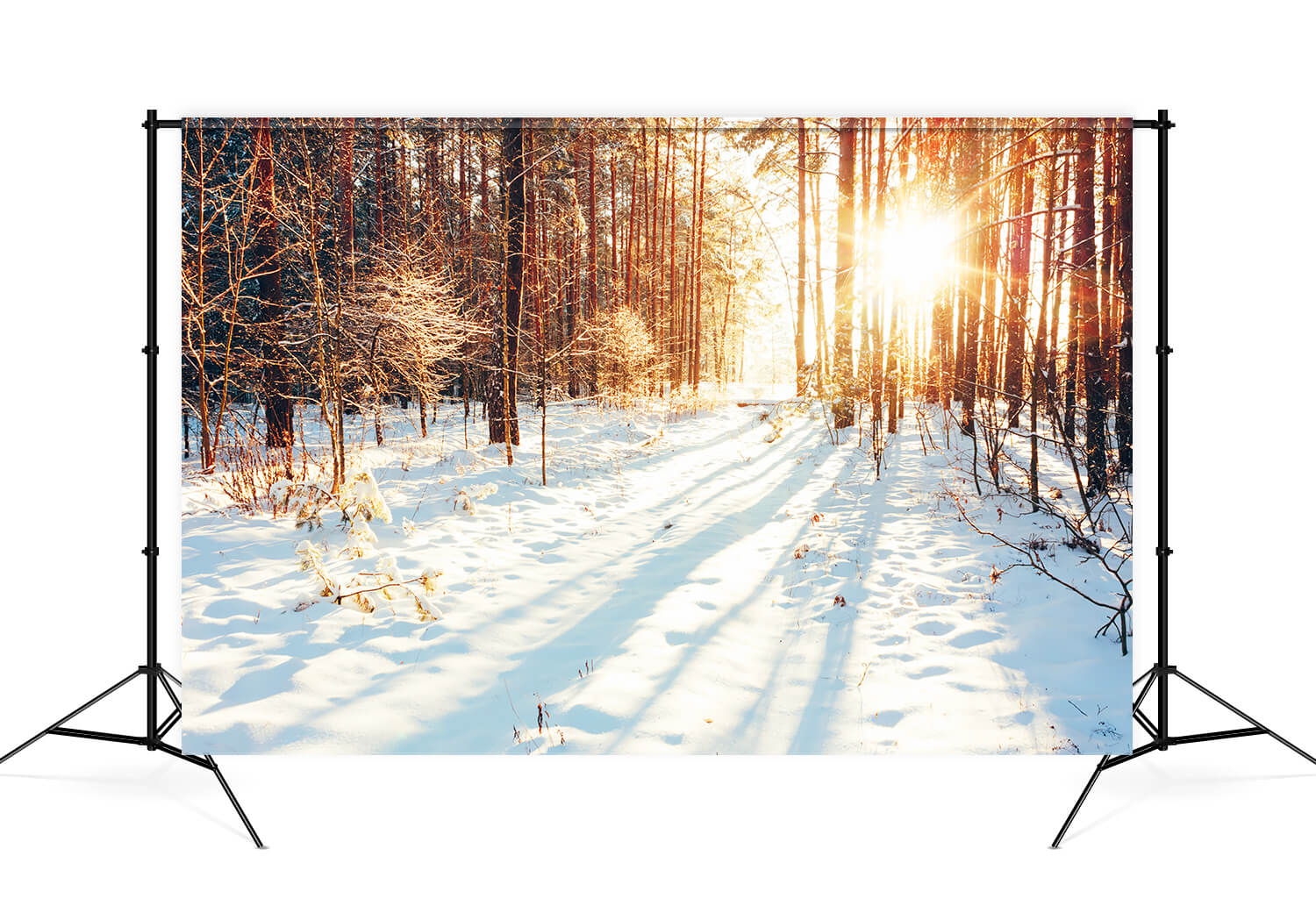 Sentiero Nel Bosco Invernale Luce Solare Sfondo Di Neve M11-64