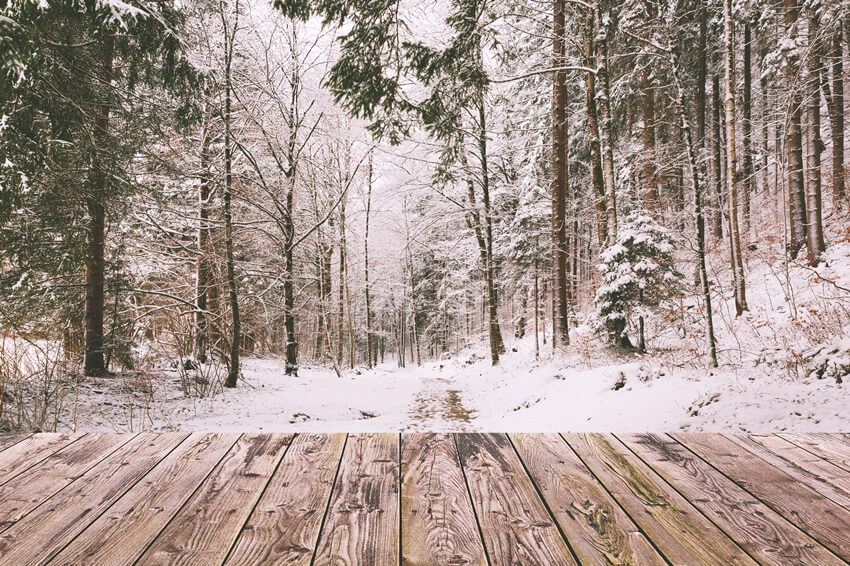 Sfondo Di Legno Paesaggio Forestale Neve Invernale M11-73