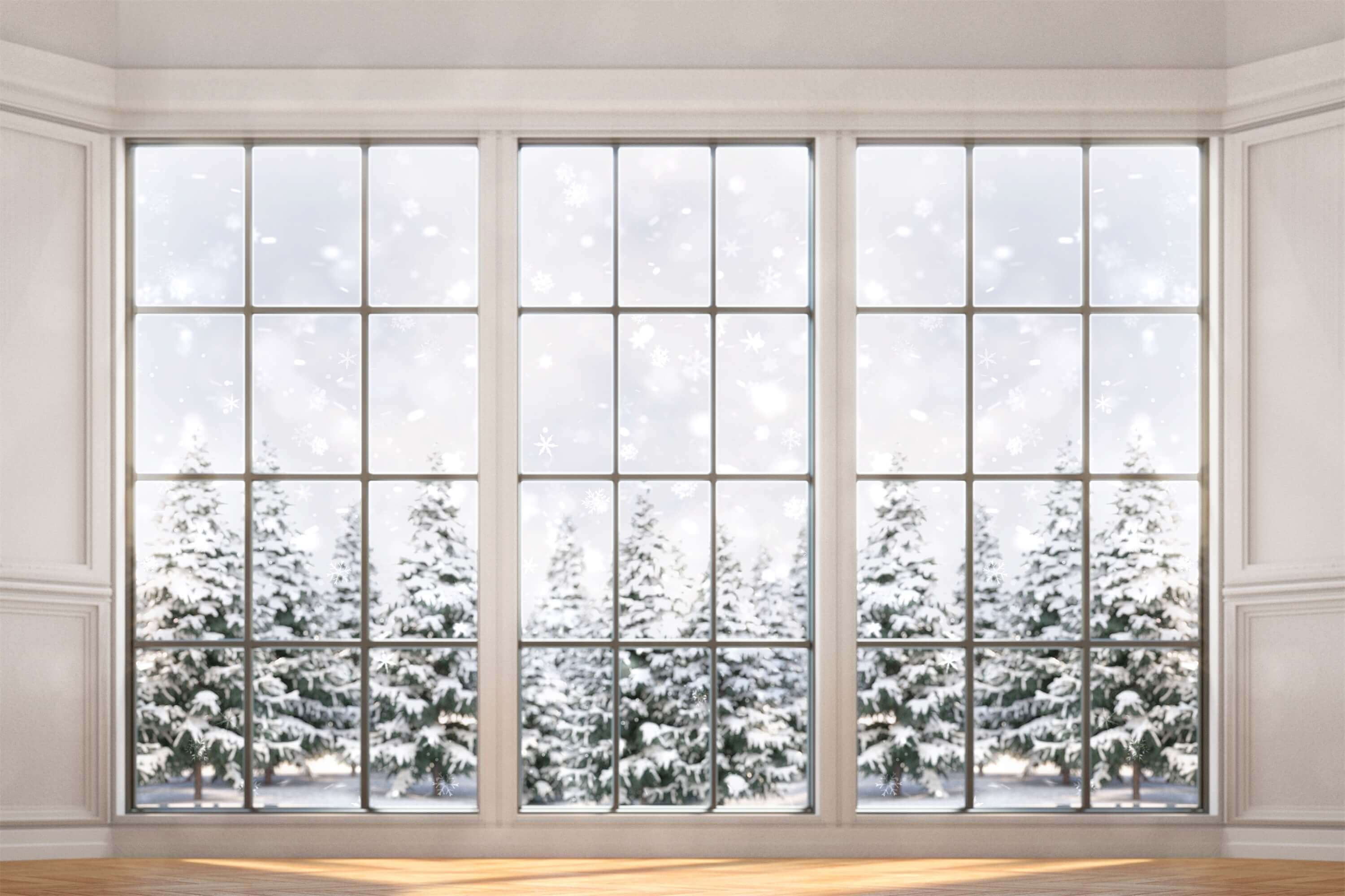 Sfondo Di Un Albero Di Agrifoglio Coperto Di Neve Per Una Finestra Di Vetro Con Una Giornata Di Neve Invernale M12-01