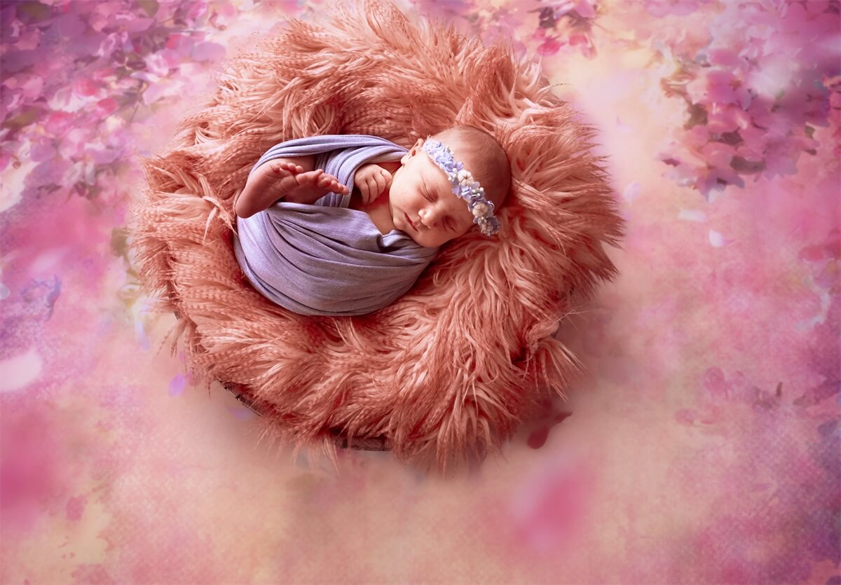 Pittura A Olio Dreamy Pink Flower Tree Petali Che Cadono Sullo Sfondo M12-33