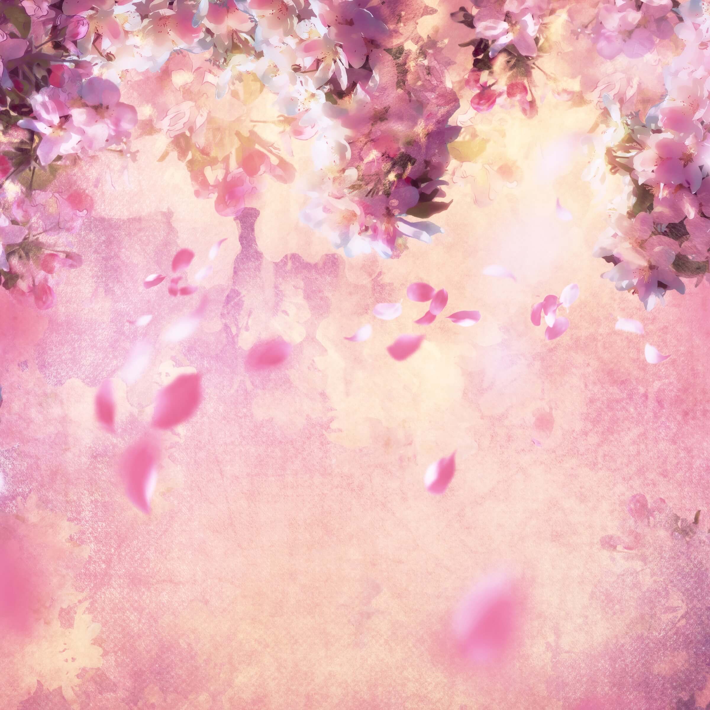 Pittura A Olio Dreamy Pink Flower Tree Petali Che Cadono Sullo Sfondo M12-33