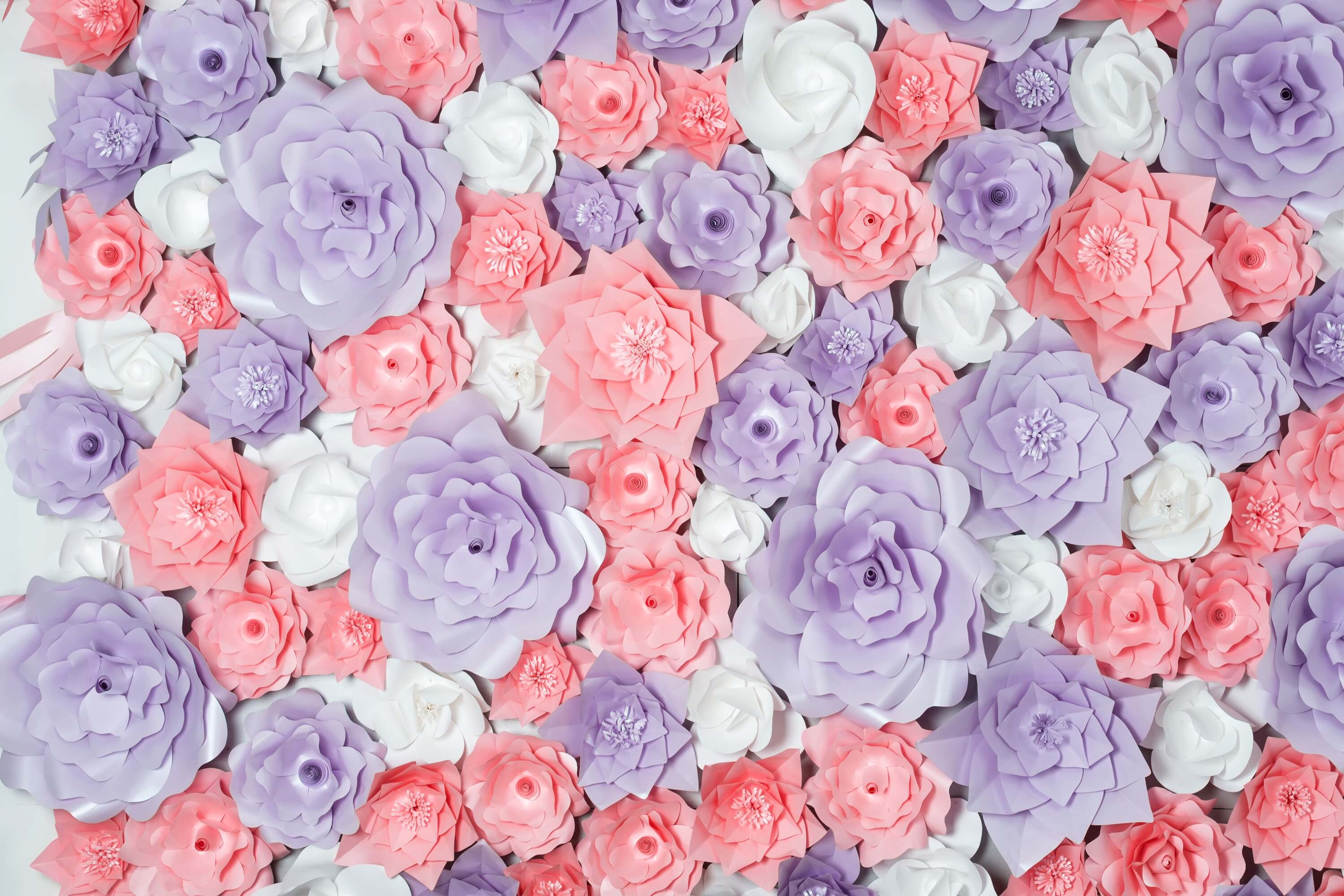 Sfondo Di Fiori Ritagliati In Carta Bianca Viola Rosa Romantico Primaverile M2-12