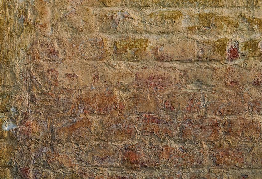 Grunge Brick Wall Backdrop for Photo Shoot M268