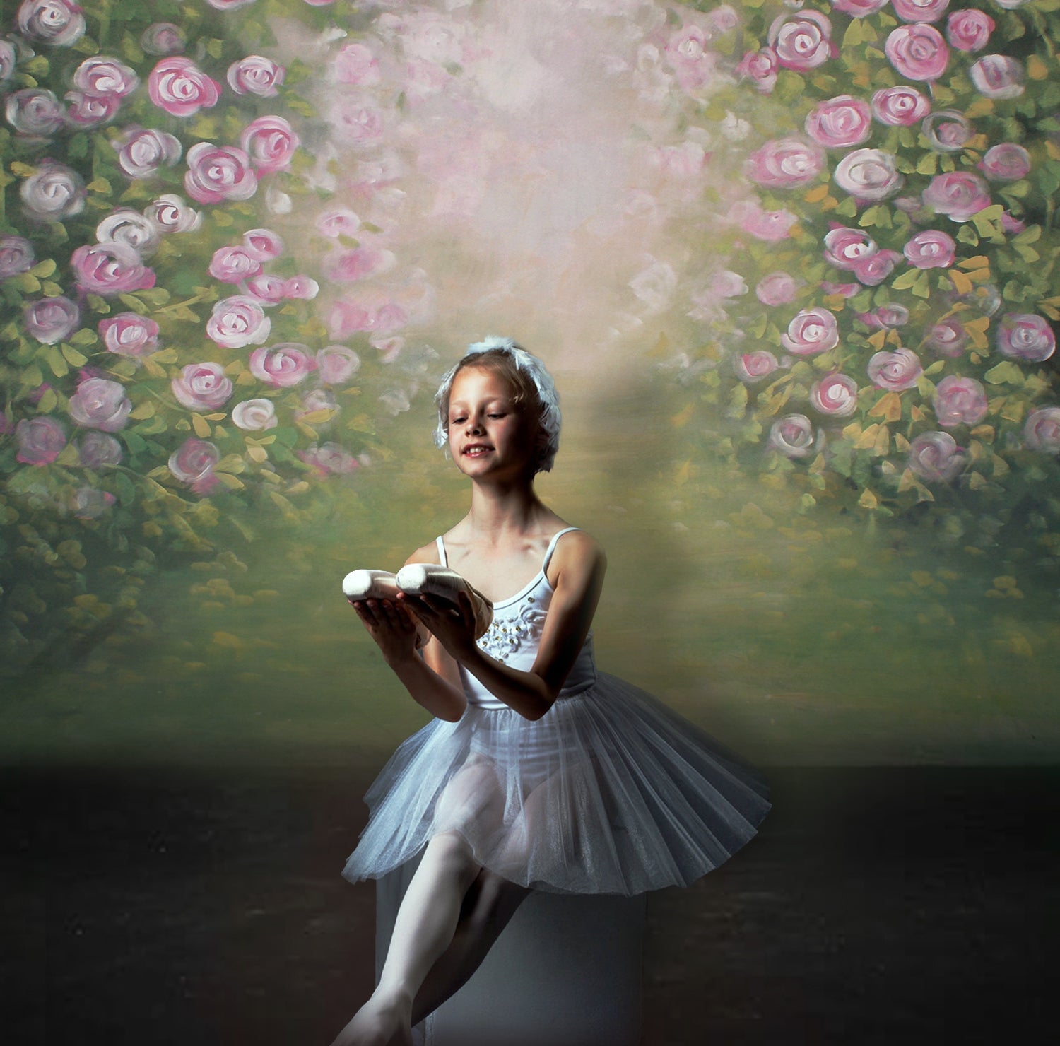 Fiori Di Rosa In Fiore Sfondo Astratto Sfocato M5-78