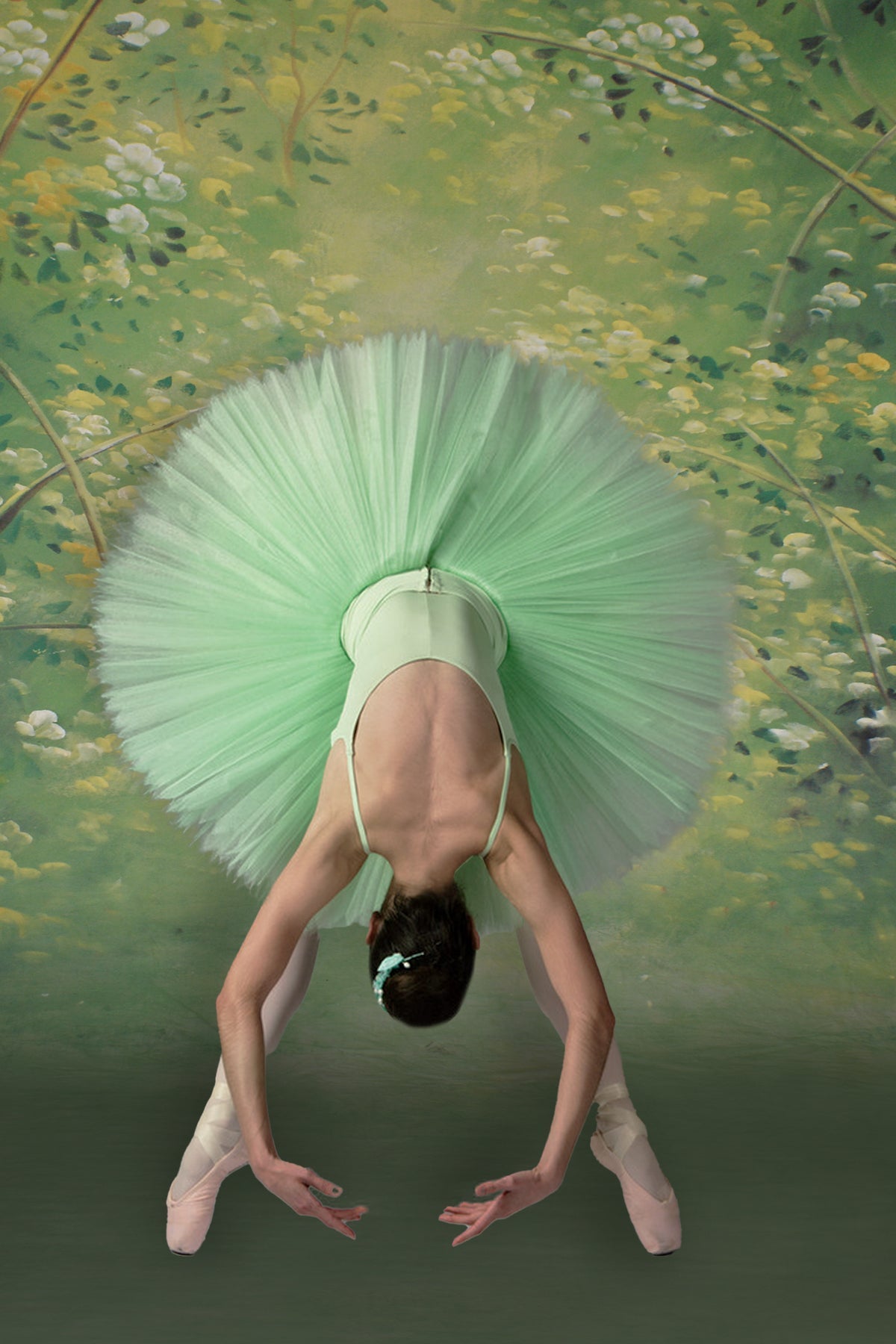 Sfondo Fotografico Di Fiori Di Pittura Astratta M5-79