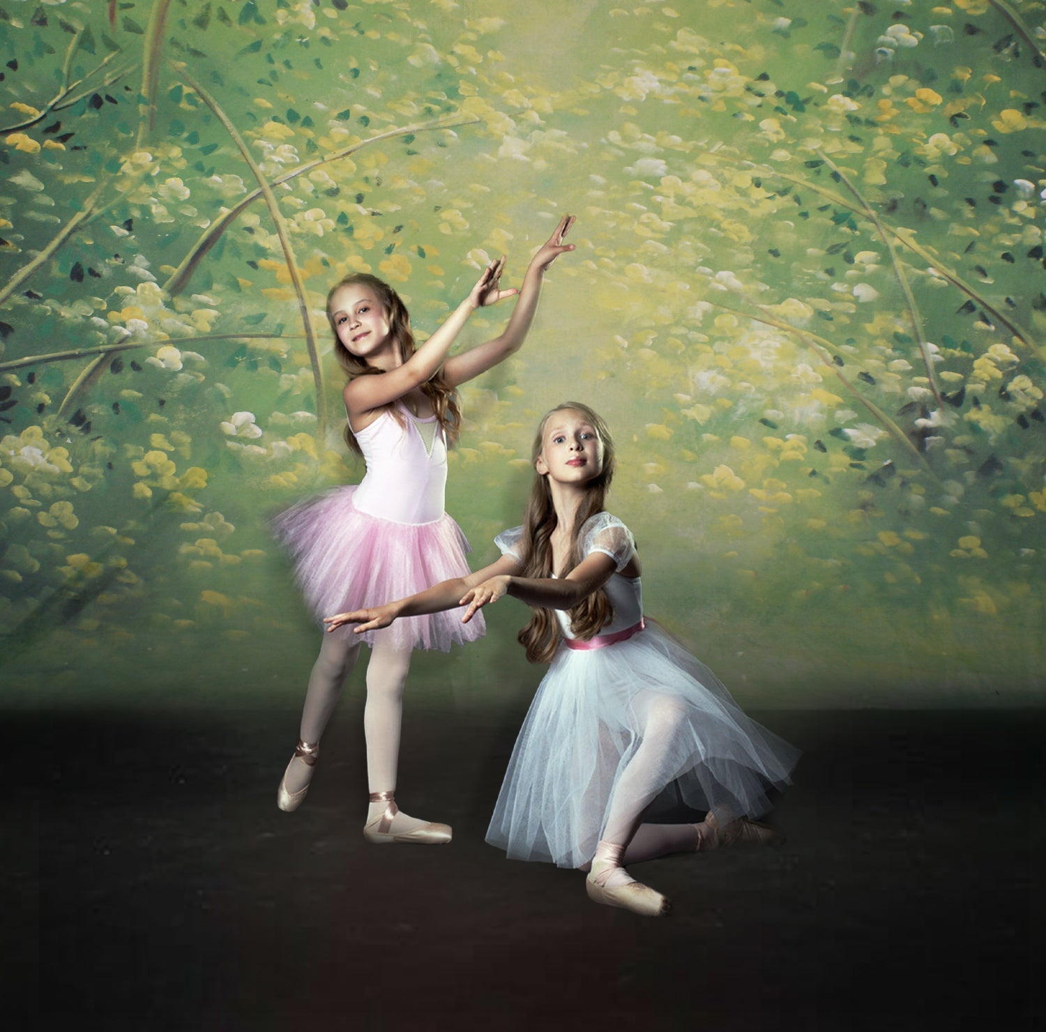 Sfondo Fotografico Di Fiori Di Pittura Astratta M5-79