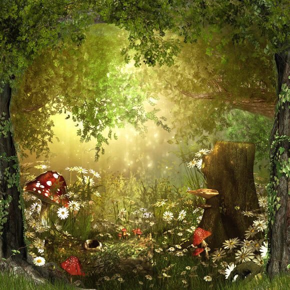 Sfondo Di Funghi Della Foresta Del Paese Delle Meraviglie Delle Fiabe M6-126