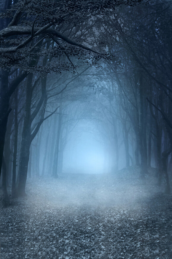 Sfondo Fotografico Di Halloween Della Foresta Nebbiosa M6-127