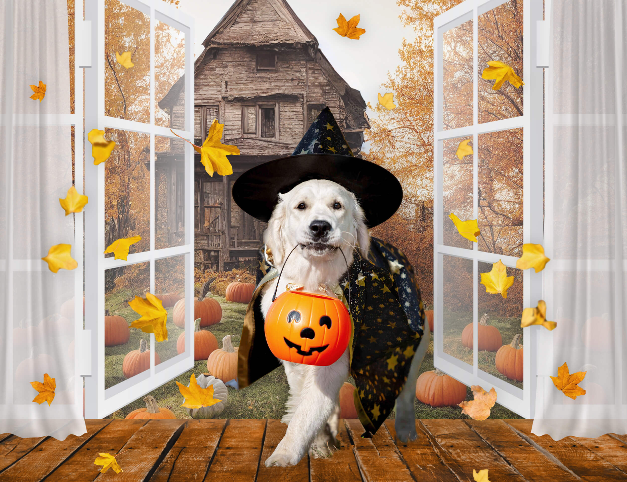 Finestra Autunnale Con Vista Sullo Sfondo Della Vecchia Casa Di Zucca M6-132