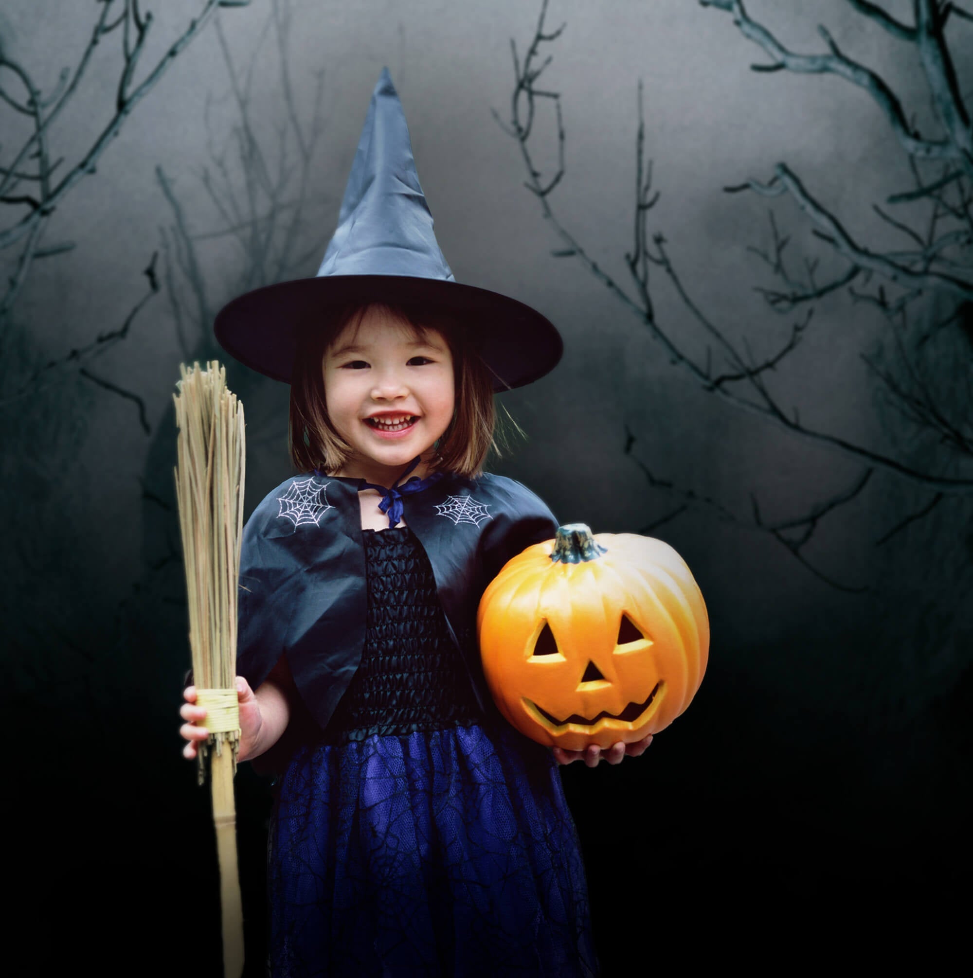 Sfondo Di Halloween Con Nebbia Notturna Dell'Albero Spettrale M6-133