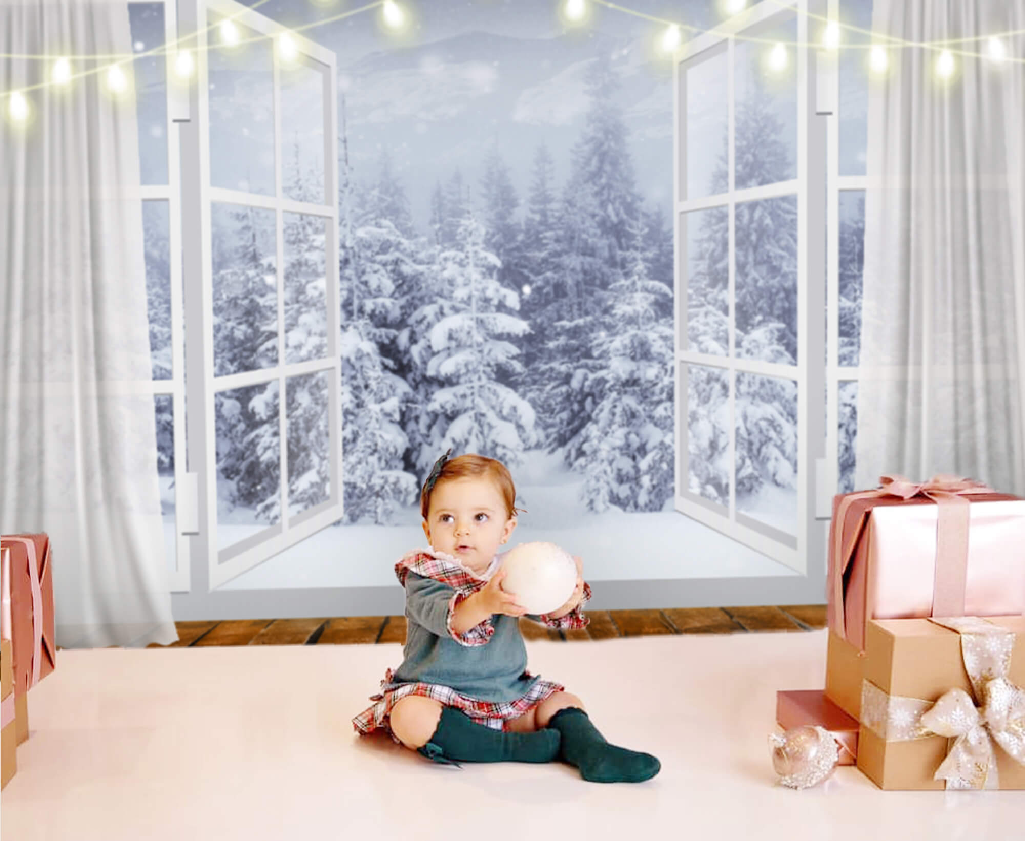 Finestra Inverno Paesaggio Innevato Pino Sfondo M6-151