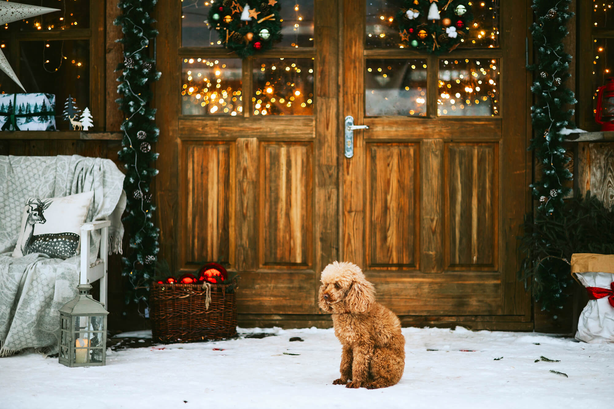 Sfondo Di Casa Di Villaggio Decorato Con Luci Di Natale M6-91