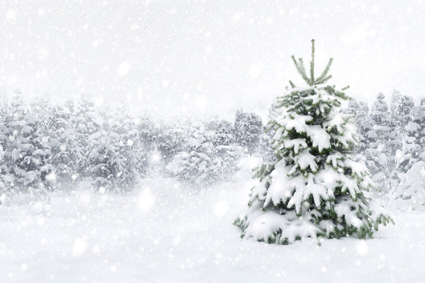 Sfondo Fotografico Per Foresta Invernale Con Alberi Di Neve M7-23