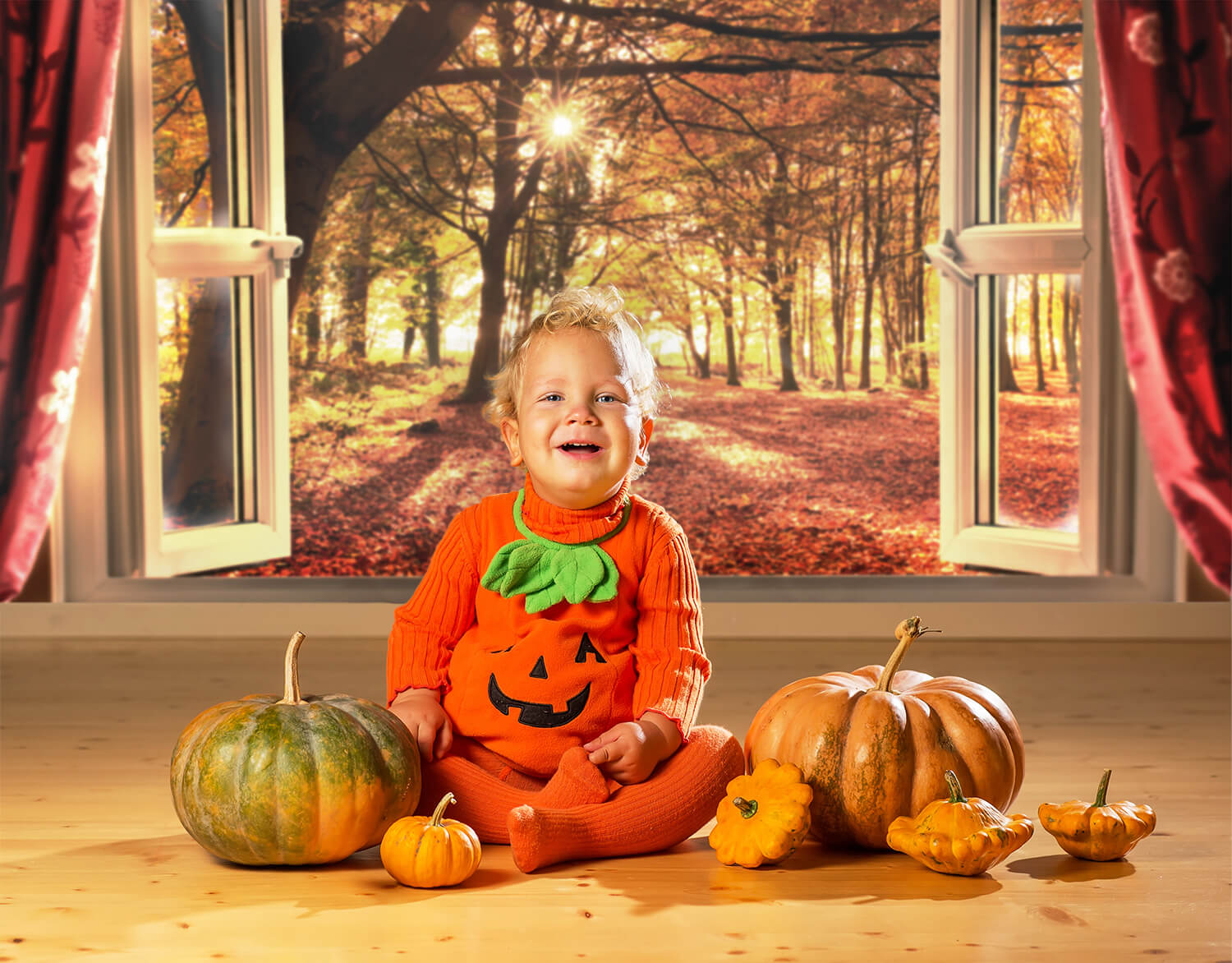 Sfondo Paesaggio Finestra Alba Foresta Autunnale M7-81