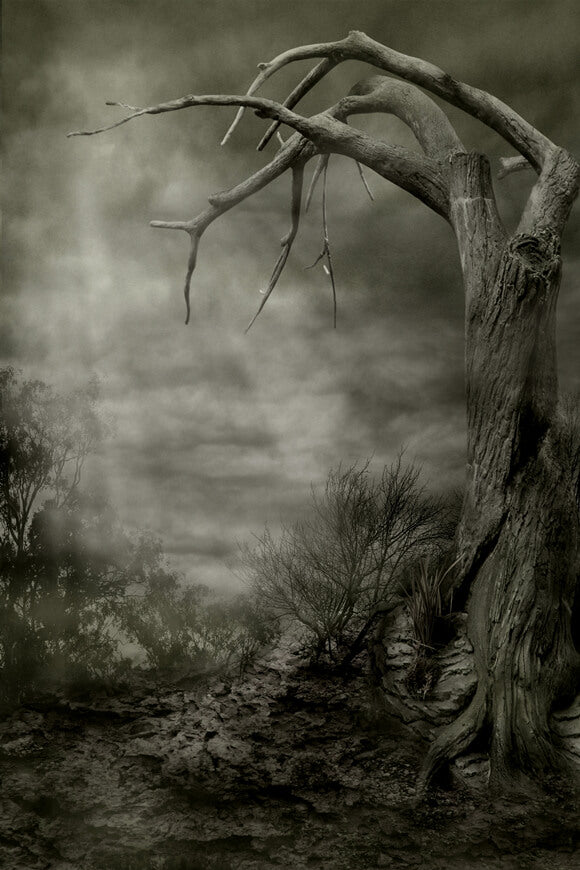 Scenario Spettrale Alberi Morti Sfondo Di Halloween M8-03