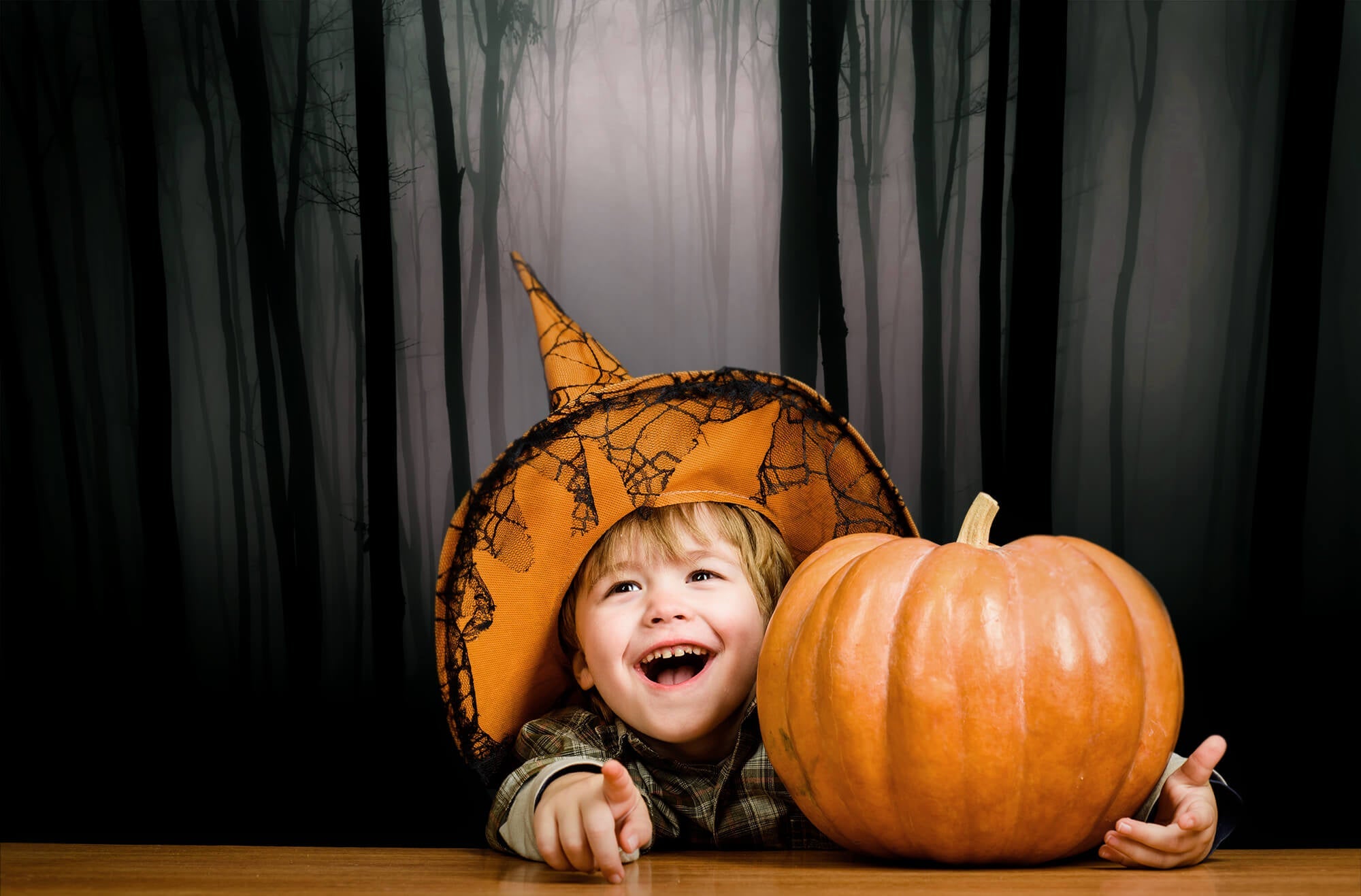 Sfondo Della Foresta Di Notte Oscura E Cupa Di Halloween M8-10