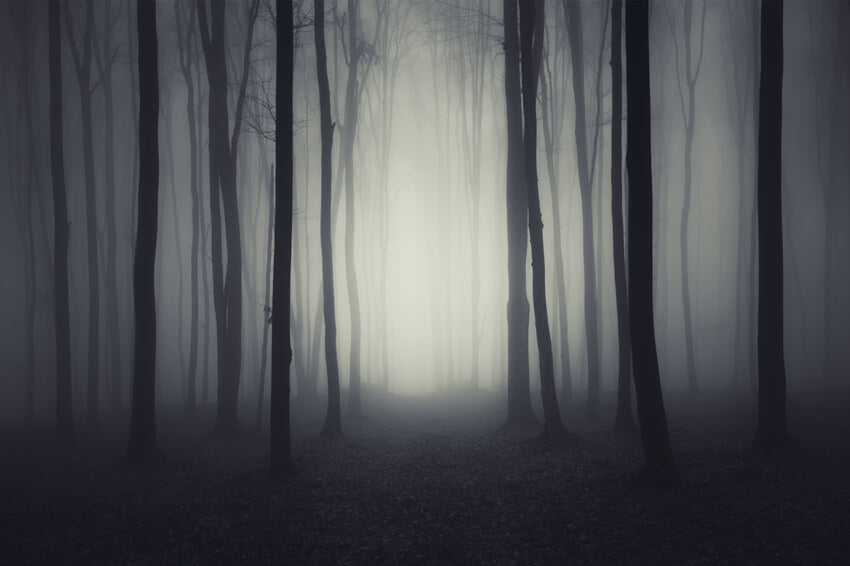 Sfondo Della Foresta Di Notte Oscura E Cupa Di Halloween M8-10