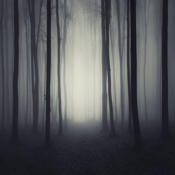 Sfondo Della Foresta Di Notte Oscura E Cupa Di Halloween M8-10