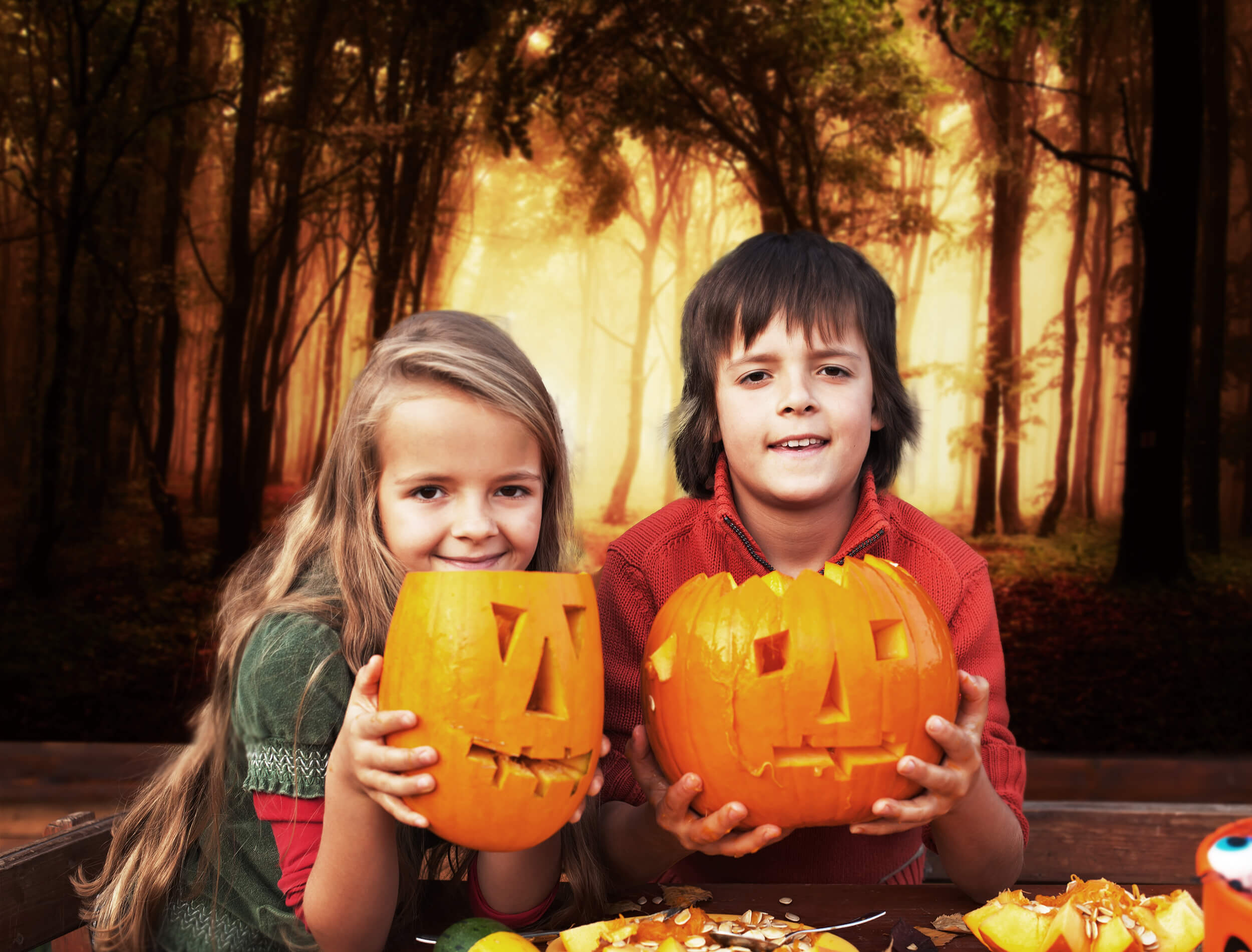 Sfondo Di Paesaggi Forestali Con Sentieri Nebbiosi Autunnali M8-12
