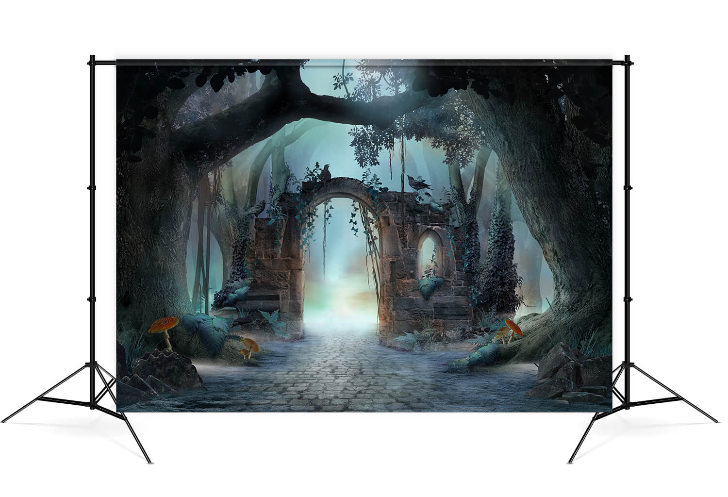 Sfondo Di Funghi Arco Nebbioso Albero Forestale M8-14